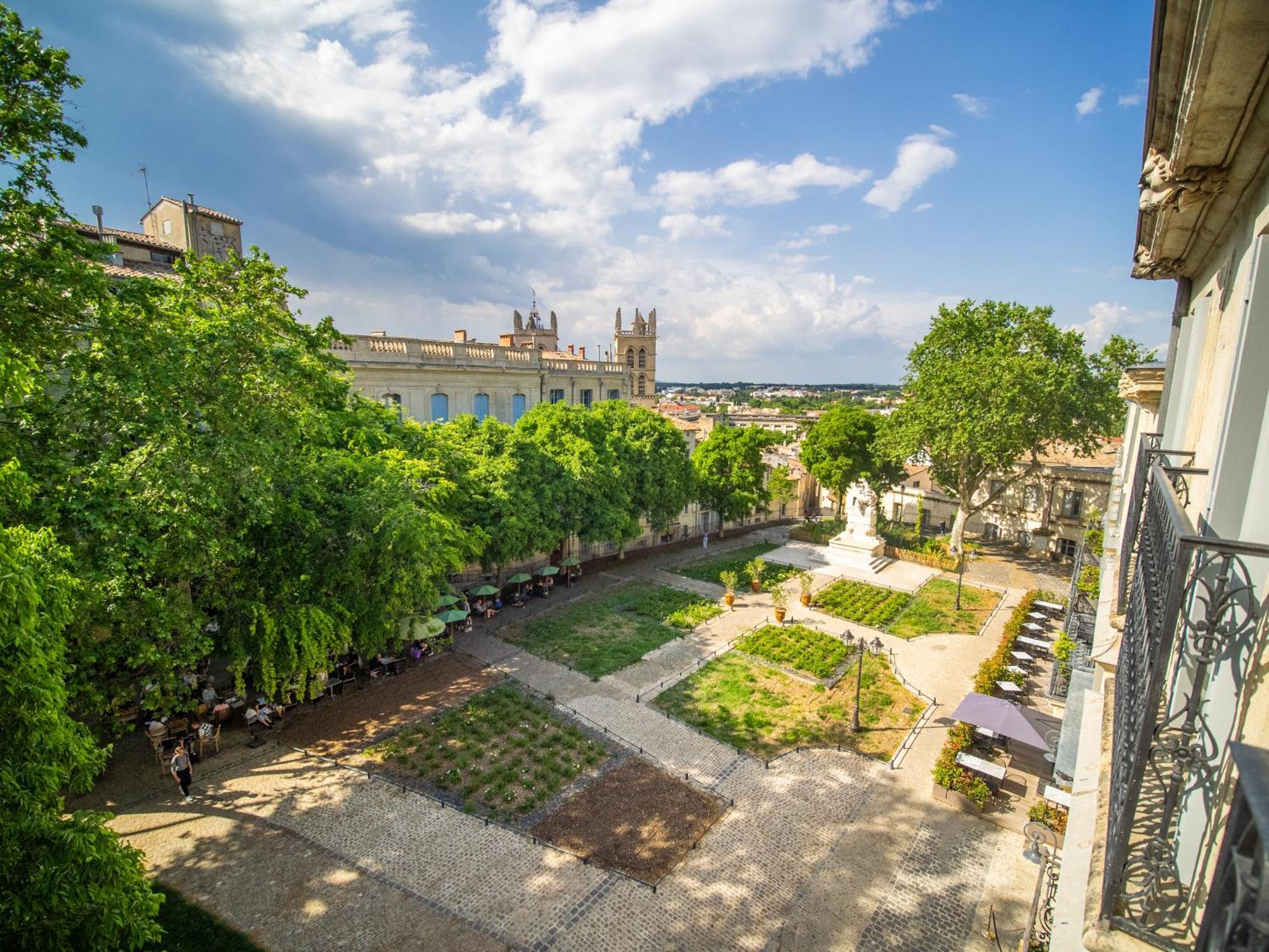 Le Platane De La Canourgue Montpellier Kültér fotó