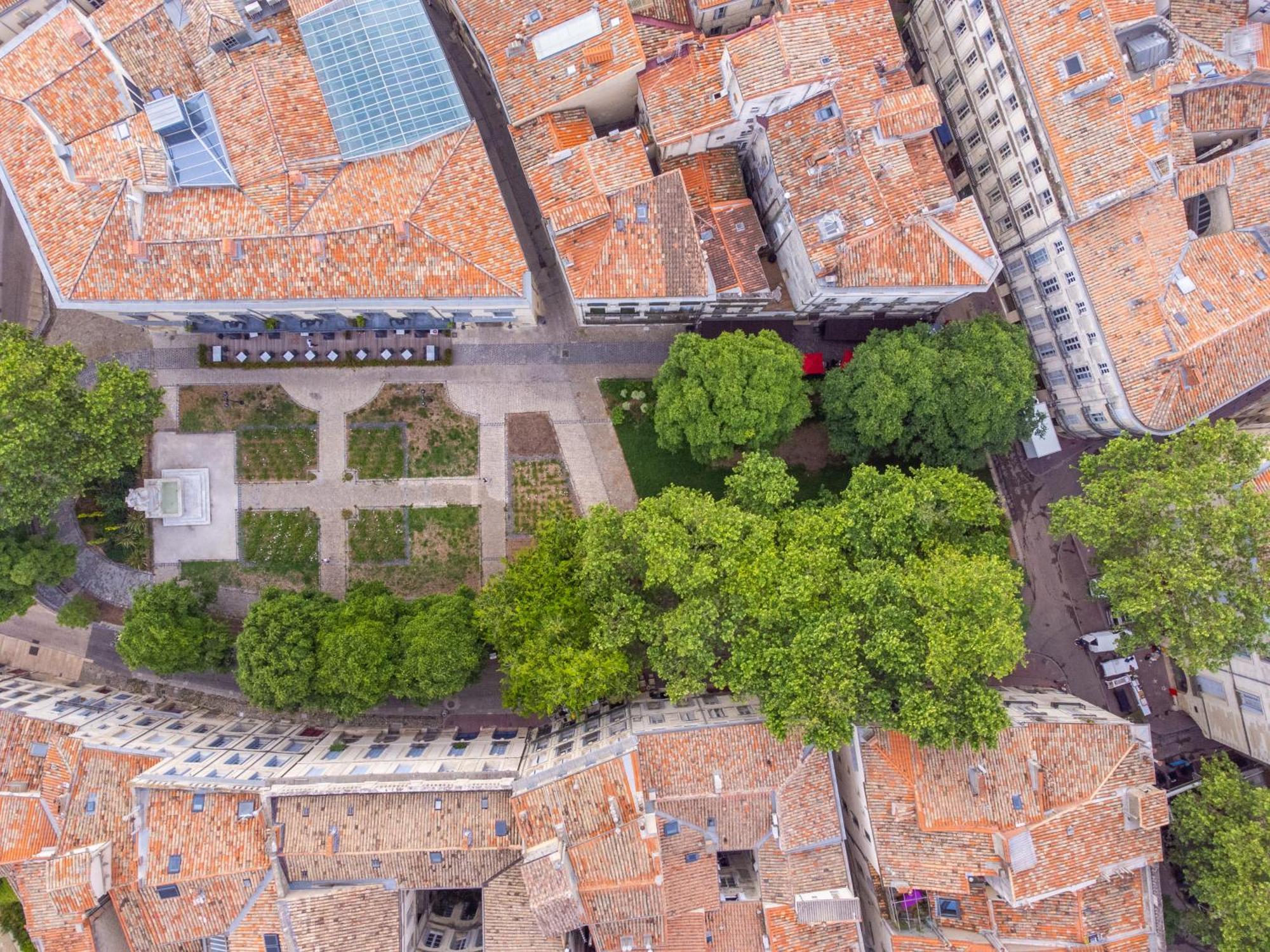 Le Platane De La Canourgue Montpellier Kültér fotó