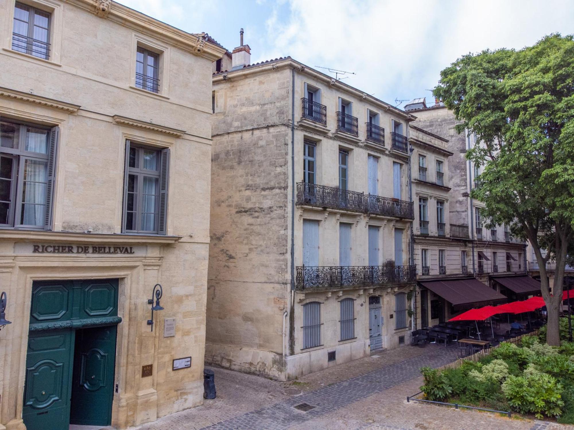 Le Platane De La Canourgue Montpellier Kültér fotó