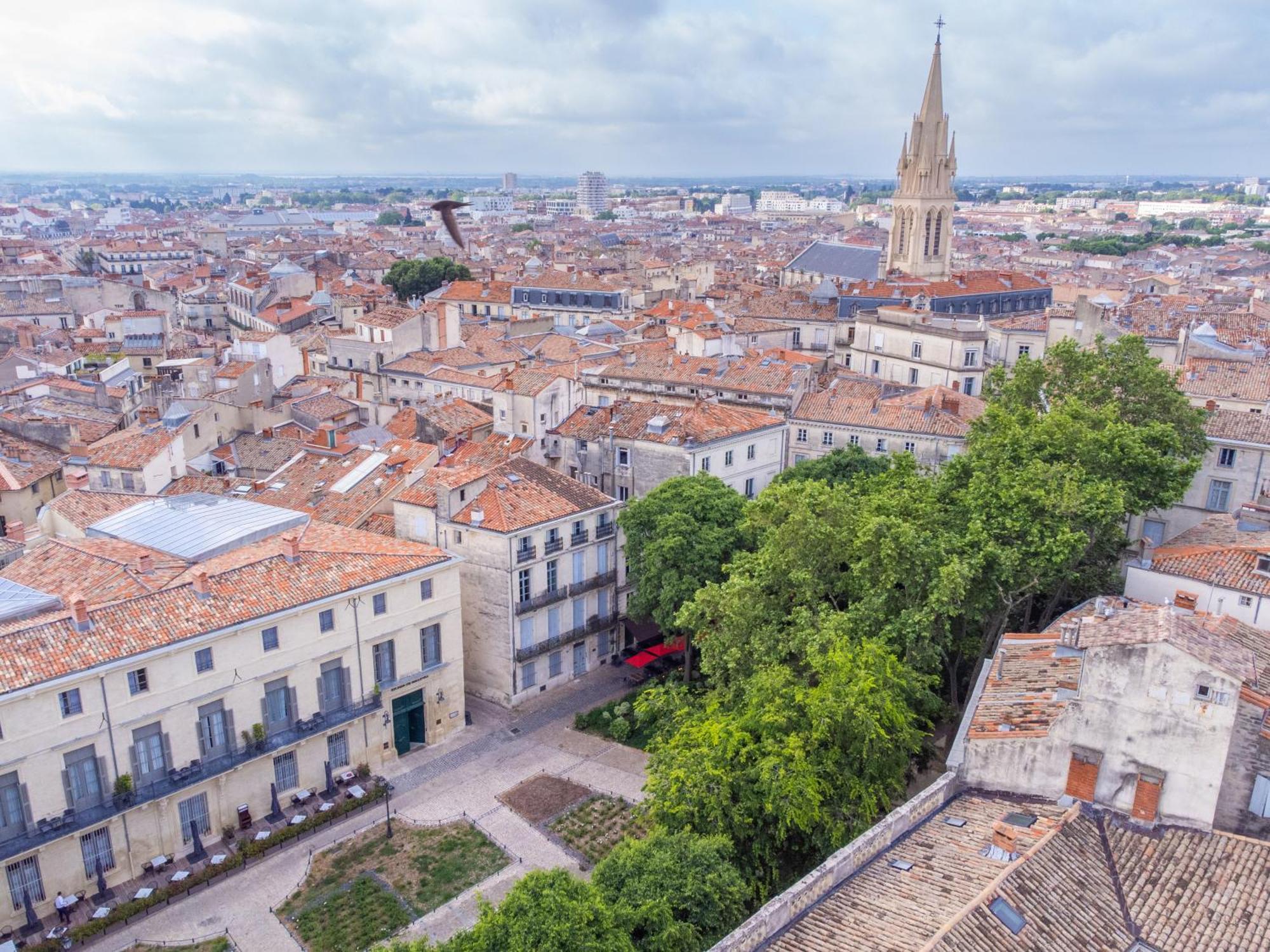 Le Platane De La Canourgue Montpellier Kültér fotó